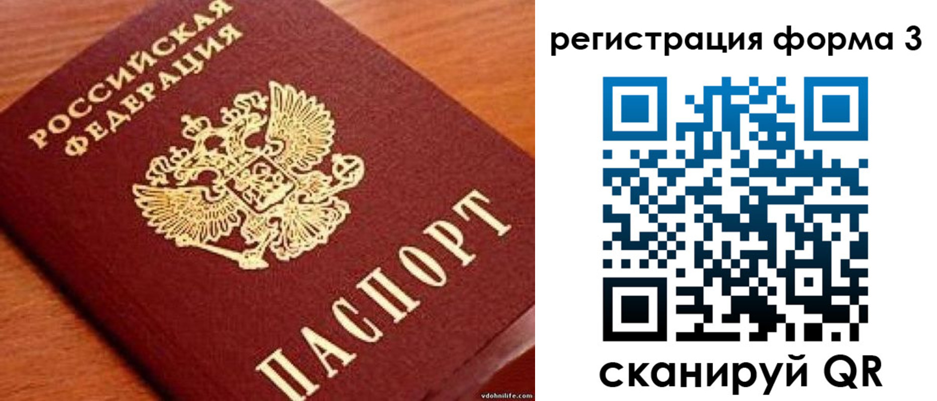 прописка гарантия в Волгограде